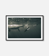 Glide