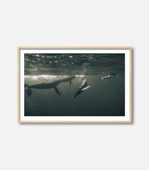 Glide