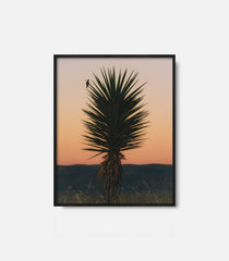 Framed desert wall art featuring cactus at sunset, calm western decor