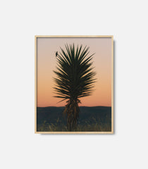 Desert landscape wall art with cactus silhouette at sunset, framed decor