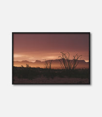 Rise Terlingua
