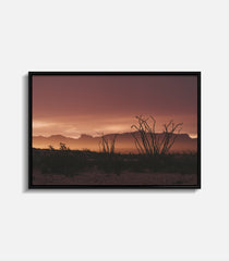 Rise Terlingua