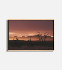 Rise Terlingua