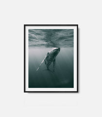 Framed whale wall art featuring whale swimming near ocean surface, calm decor