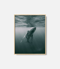 Underwater whale wall art in framed print, serene ocean interior decor