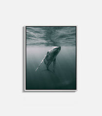 Framed ocean wildlife wall art of whale swimming, peaceful modern decor