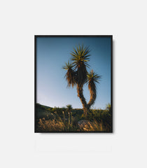 Framed desert wall art featuring cactus under blue sky, calm modern decor
