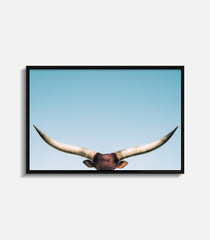 Framed bull wall art featuring longhorn horns, minimal premium statement decor