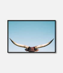 Framed bull wall art featuring longhorn horns, minimal premium statement decor