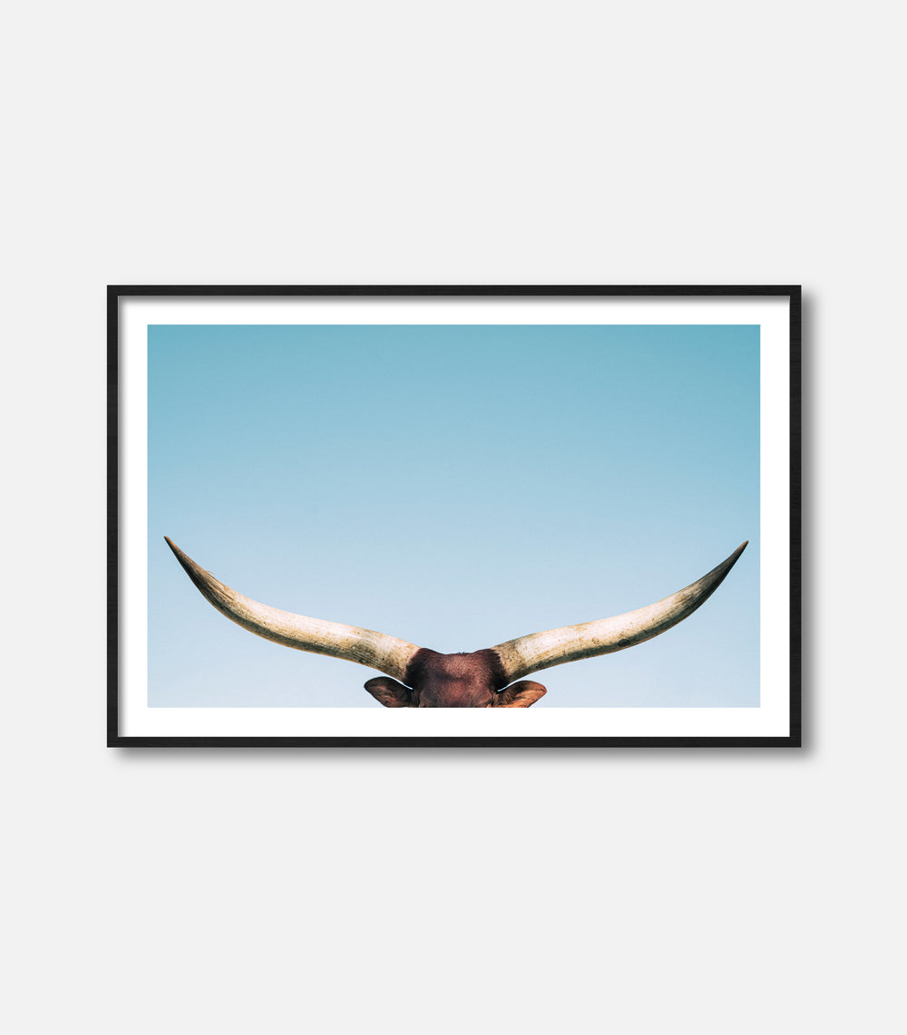 Framed bull wall art featuring longhorn horns, minimal premium statement decor
