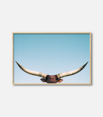 Framed bull wall art featuring longhorn horns, minimal premium statement decor