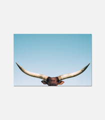 Watusi