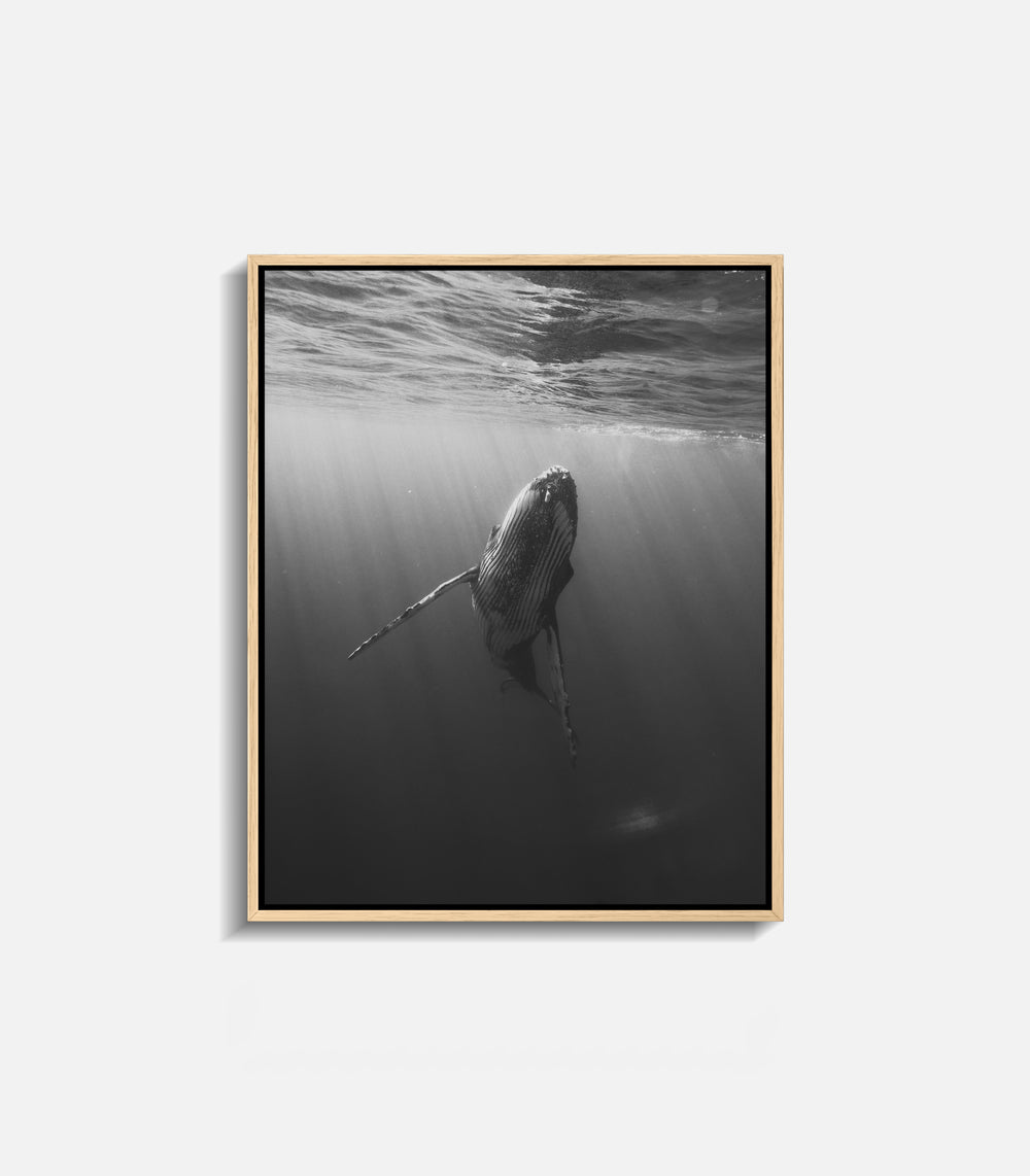 Contemporary ocean wall art with whale and light beams