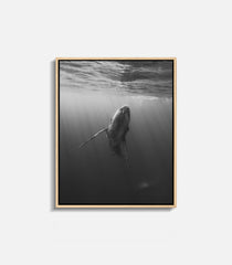 Contemporary ocean wall art with whale and light beams