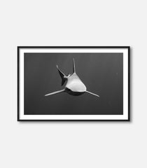 Form Follows Function