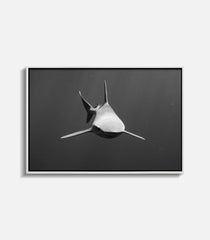 Form Follows Function