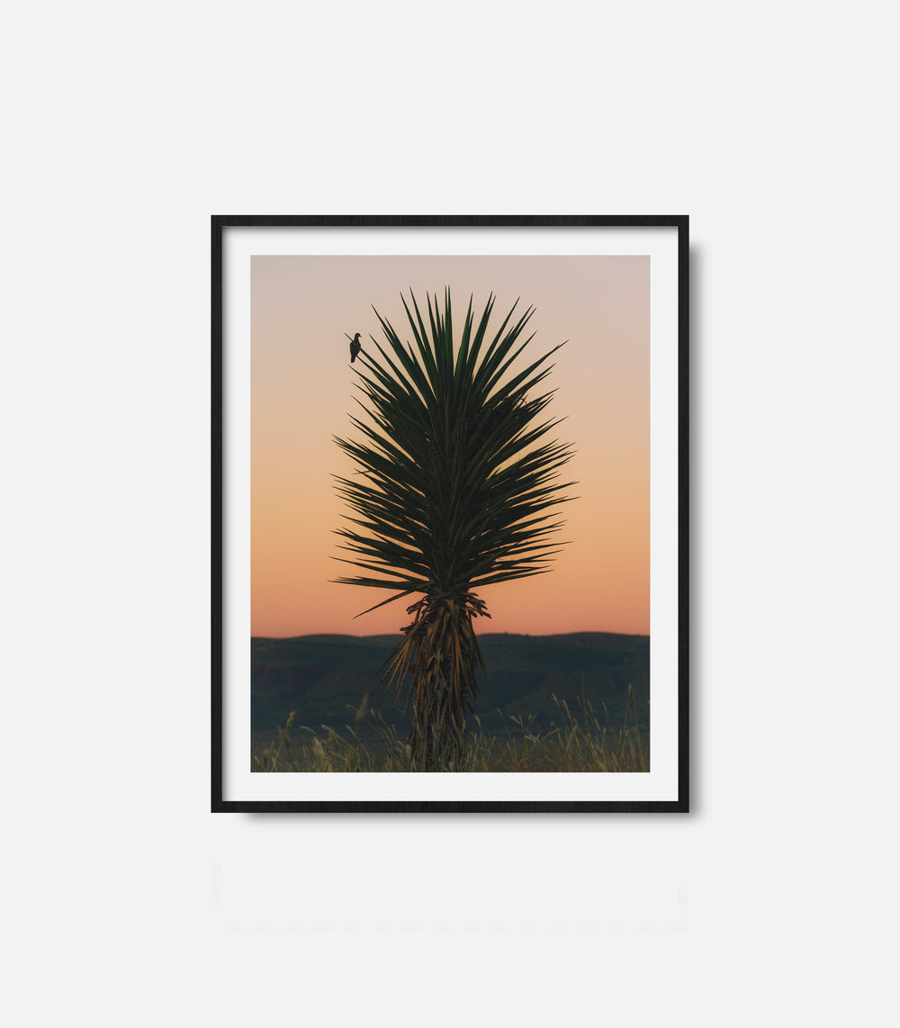 Framed desert wall art featuring cactus at sunset, calm western decor