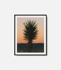 Framed desert wall art featuring cactus at sunset, calm western decor