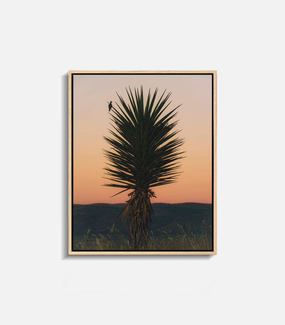 Desert sunset wall art with cactus silhouette, framed statement decor