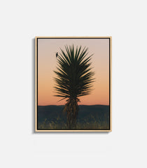 Desert sunset wall art with cactus silhouette, framed statement decor