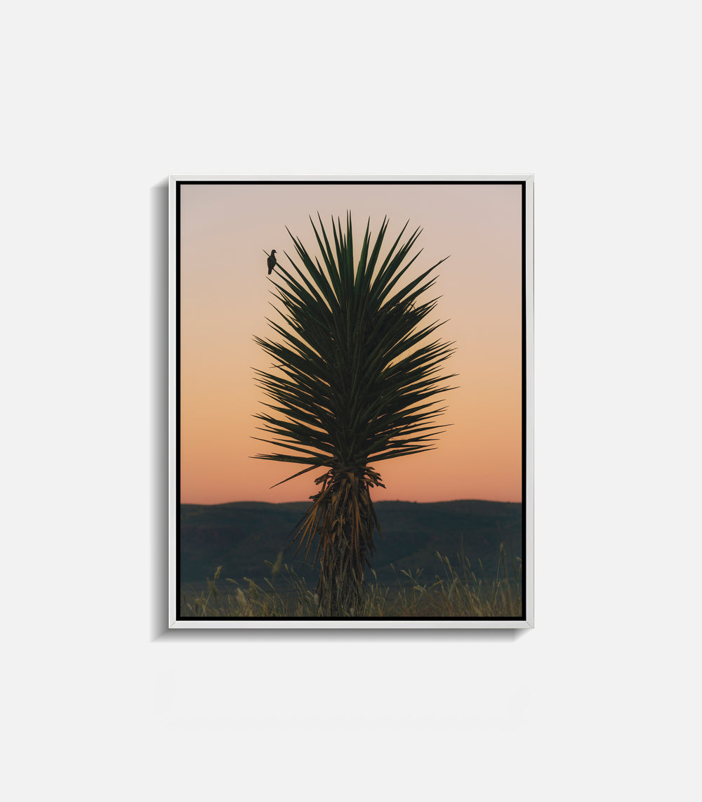 Framed western desert wall art featuring cactus and evening sky