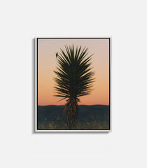Framed western desert wall art featuring cactus and evening sky