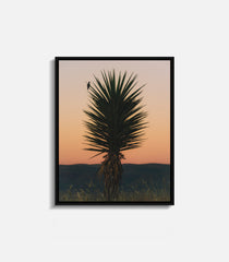 Cactus desert wall art print at sunset, minimal framed interior decor