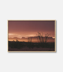 Rise Terlingua