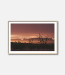 Rise Terlingua
