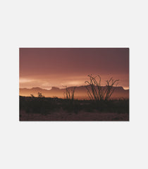 Rise Terlingua