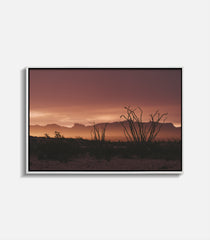 Rise Terlingua