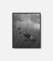 Framed underwater wall art featuring dolphins in black and white, calm ocean decor