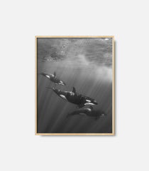 Black and white ocean wall art of dolphins underwater, framed premium decor