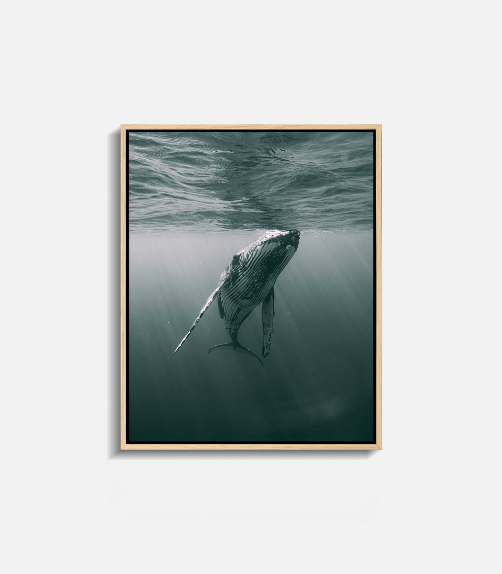 Whale wall art print in ocean scene, framed minimal decor for interiors