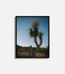 Cactus desert wall art in frame, natural landscape decor for modern interiors