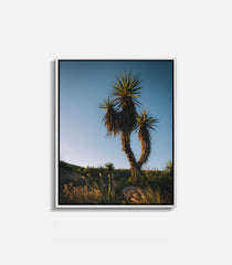 Framed cactus wall art print in desert setting, clean modern interior decor