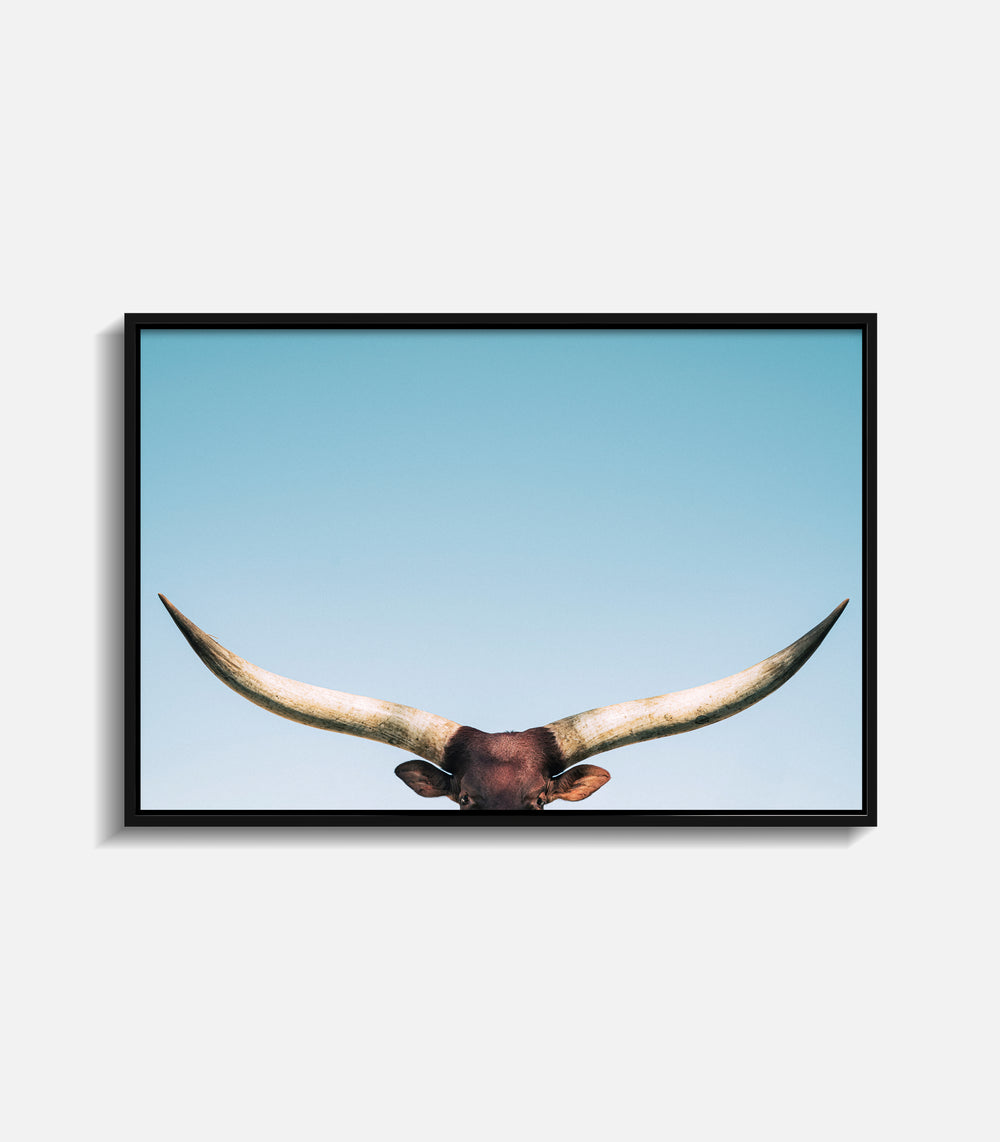 Framed bull wall art featuring longhorn horns, minimal premium statement decor