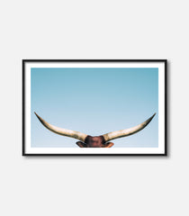Framed bull wall art featuring longhorn horns, minimal premium statement decor