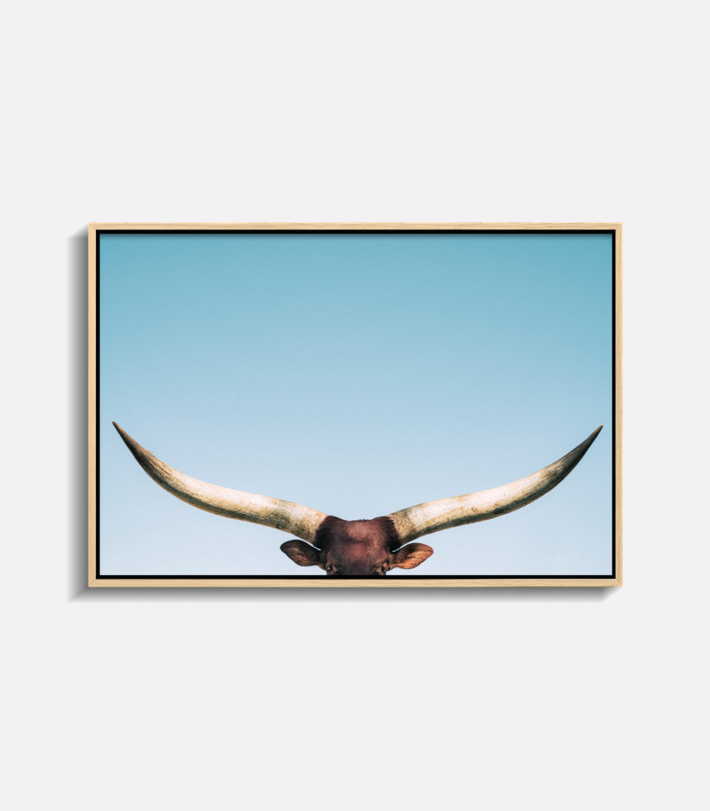 Minimal framed bull wall art with longhorn horns, modern statement decor