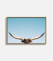 Minimal framed bull wall art with longhorn horns, modern statement decor