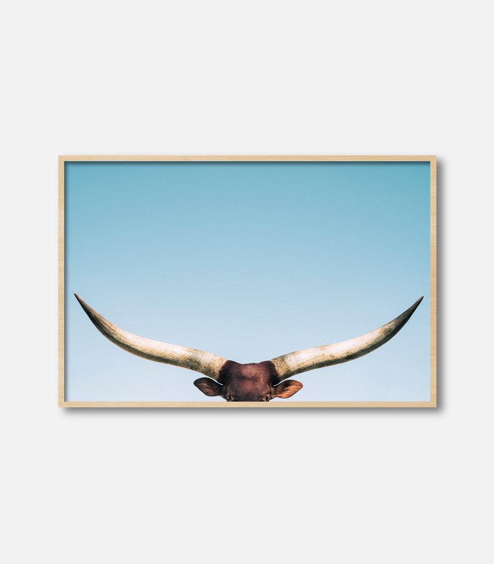 Framed bull wall art featuring longhorn horns, minimal premium statement decor