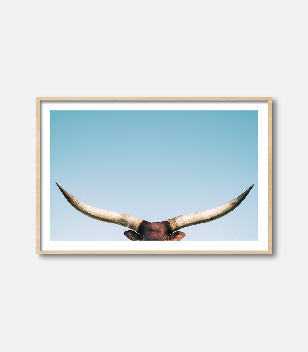 Framed bull wall art featuring longhorn horns, minimal premium statement decor
