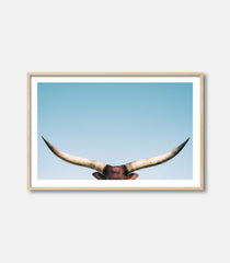 Framed bull wall art featuring longhorn horns, minimal premium statement decor