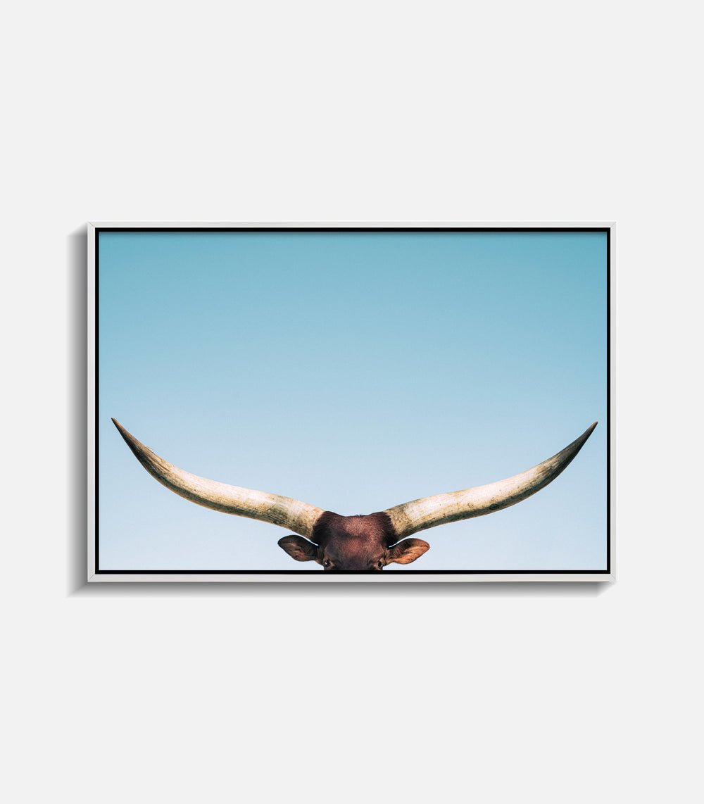 Minimal framed longhorn bull wall art, modern premium statement decor