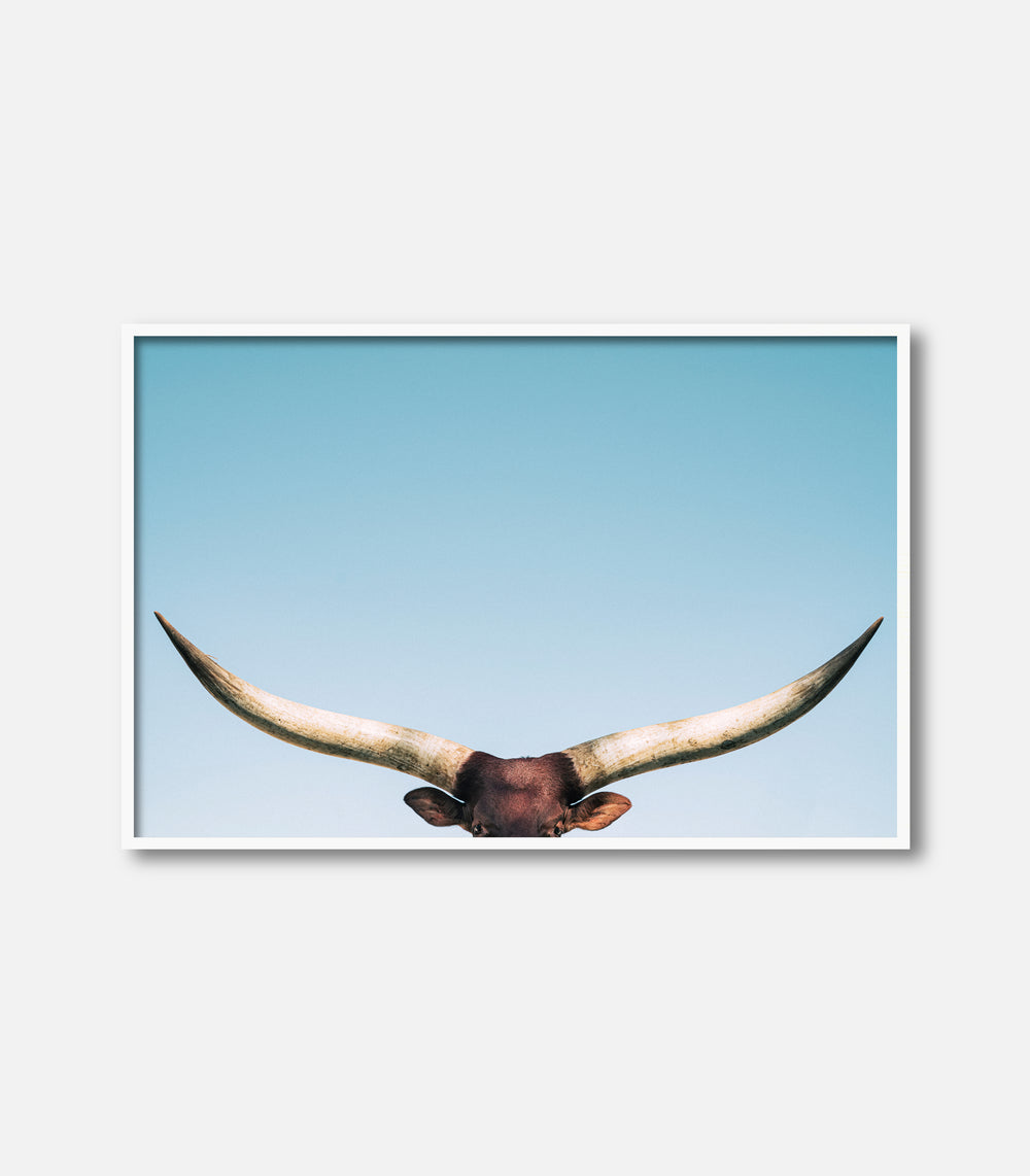 Framed bull wall art featuring longhorn horns, minimal premium statement decor