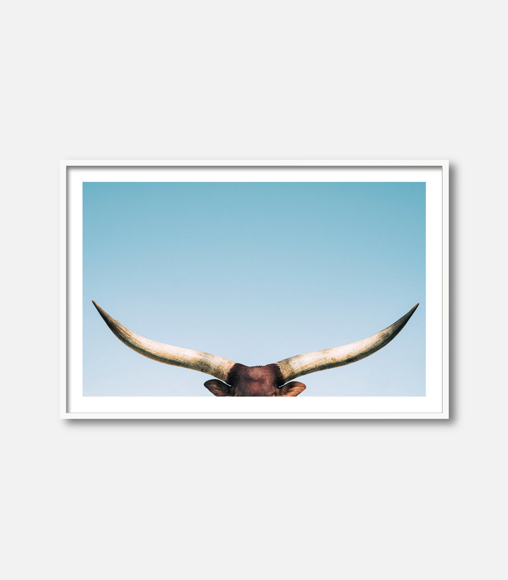 Framed bull wall art featuring longhorn horns, minimal premium statement decor